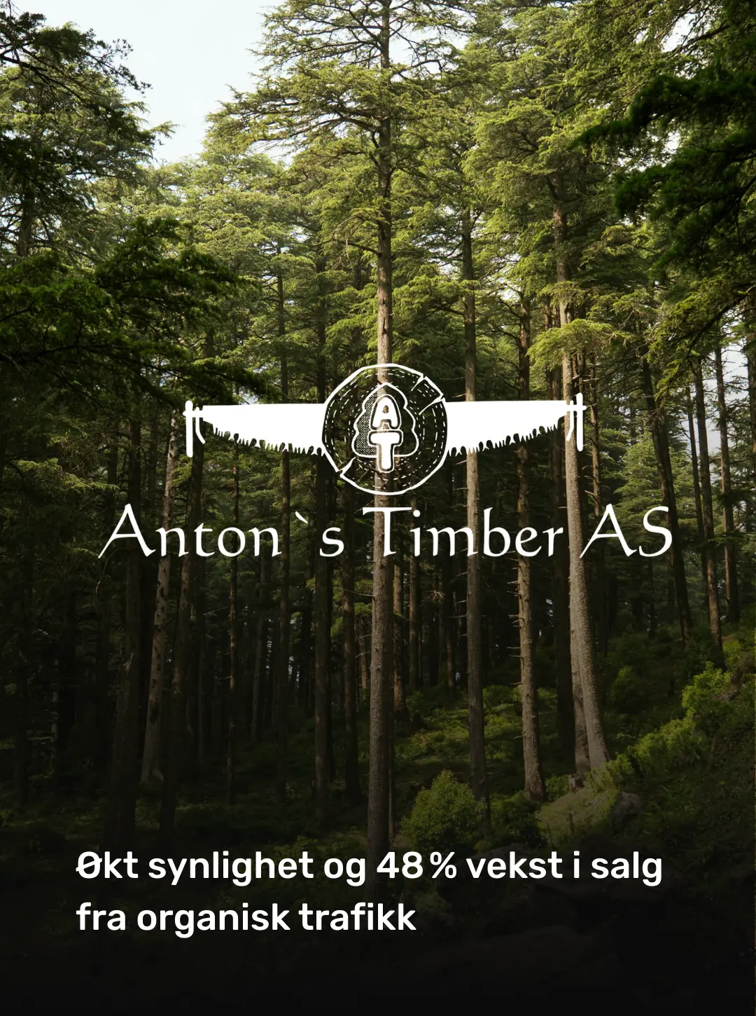 Antons Timber: oprindeligt kundemateriale om øget synlighed og 48 procent vækst i salg fra organisk trafik.